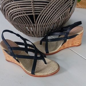 Women's Tommy Bahamas shoes